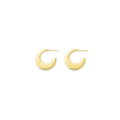 Dreamy Earrings